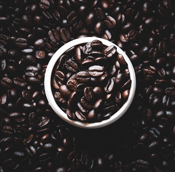 A white bowl filled with dark roasted coffee beans